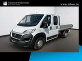 Fiat Ducato DoKa Pritsche 35 Maxi Kima*GRA*ohneAdblue - Fiat Ducato: Maxi
