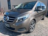 Mercedes-Benz V 250 Distr+,Leder,360°Kam,LED,7Sitzer,Avang