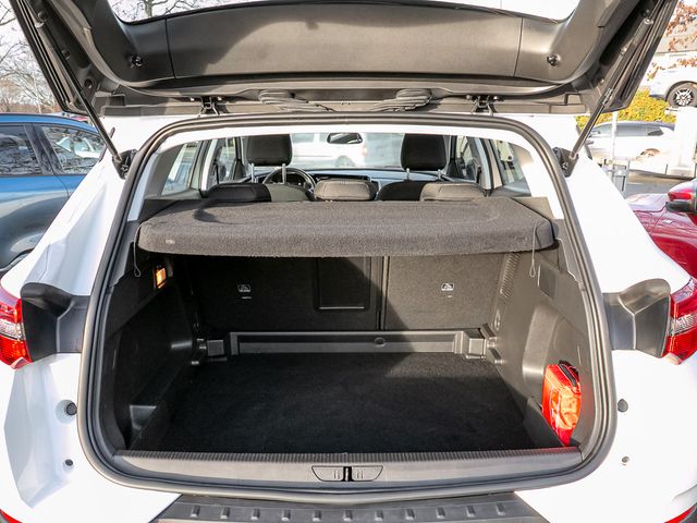 Opel Grandland Business Edition Park & Go RFK TWA