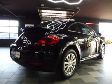 Volkswagen Beetle - 6