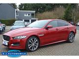 Jaguar XE R-Sport ,ACC,Bi Xenon - Jaguar XE Gebrauchtwagen
