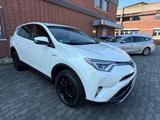 Toyota RAV 4 RAV4 Hybrid Team D *LED*KAM*NAVI - Toyota RAV 4 bis 20.000 Euro