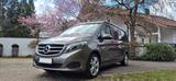 Mercedes-Benz V-Klasse Marco Polo V 250 BlueTEC 4MATIC - Mercedes-Benz grau