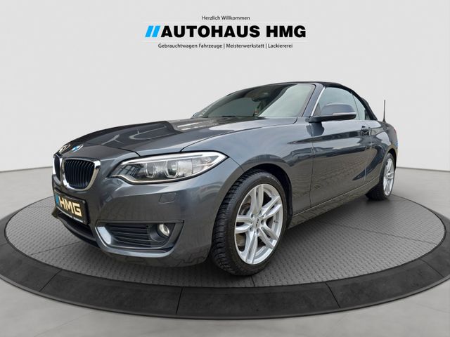 BMW 228i Cabrio Advantage KLIMA*LEDER*XENON*SHZ*NAVI