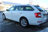 Skoda Octavia Combi Style 4x4 - Skoda Octavia: Winterreifen