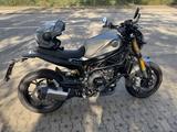 Benelli Leoncino 800 - BENELLI LEONCINO 800