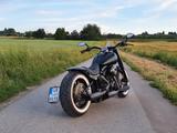 Harley-Davidson FLSTC Softtail Custom - Harley-Davidson Motorräder in Stuttgart