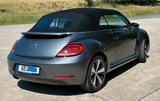 Volkswagen Beetle 1.4 TSI DSG BMT ALLSTAR Cabriolet ALLSTAR - Volkswagen Beetle: Cabrio