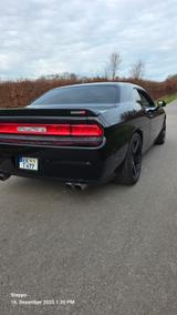 Dodge Challenger - Dodge Challenger Gebrauchtwagen