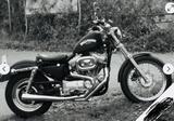 Harley-Davidson Sportster XL 883 Custom  - HARLEY-DAVIDSON SPORTSTER XL 883 C CUSTOM