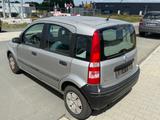 Fiat Panda 1.1 8V Active Klimaanlage Tüv bis 12.2027 - Fiat Panda aus 2006: Allradantrieb