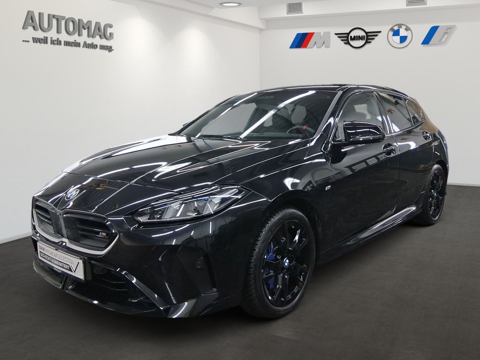 BMW M135 xDrive DrivAssProf*Harman*ParkAssPkus*HeadU