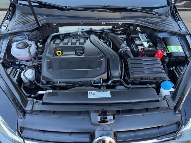 Volkswagen Golf VII Highline Navi*AAC*LED*ACC*Massage*SHZ*1