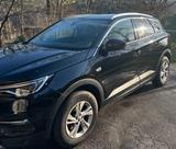 Opel Grandland (X) 2.0 Diesel 130k Business Innov... - Opel Grandland (X) Business Gebrauchtwagen