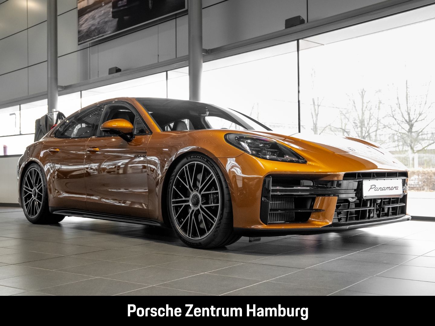 PORSCHE Panamera Turbo E-Hybrid Panorama Sportabgas