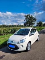 Ford Ka zu verkaufen  - Ford Ka/Ka+ in Karlsruhe