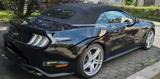 Ford Mustang 5.0 Ti-VCT V8 Convertible - Ford Mustang in Hagen