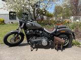 Harley-Davidson Street Bob FXBB - Harley-Davidson Motorräder in Augsburg