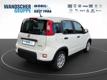 Fiat Panda Base Mild Hybrid 1,0 Klima+ZV+Radio