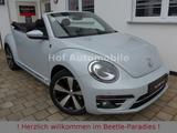 Volkswagen Beetle 1.2TSI Sound Plus Xenon Fender Kamera Nav - Volkswagen Beetle Gebrauchtwagen
