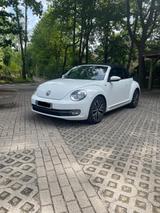 Volkswagen Beetle 1.2 TSI DSG BMT ALLSTAR Cabriolet ALLSTAR - Volkswagen Beetle in Hamburg