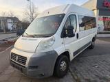 Fiat Ducato Hochr.- 33 115 9 sitzer - Fiat Ducato: Kleinbus, Sitzer 9