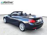 BMW 218  i Cabrio Aut. LED+Sportsitze+TEMP+Leder+BMW - gebrauchte BMW 218 aus dem Jahr 2019