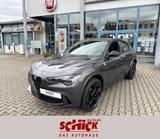 Alfa Romeo Stelvio Quadrifoglio Q4 2.9 V6 Bi-Turbo - Alfa Romeo Stelvio Quadrifoglio mit Benzin-Antrieb
