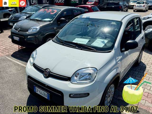 Image of Fiat Panda