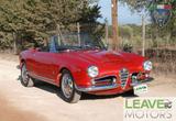Alfa Romeo Giulia Spider Targa Oro (M1383) - Alfa Romeo Giulia: Cabrio