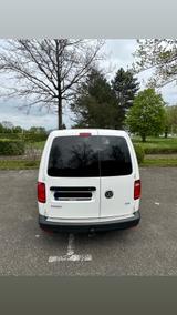 Volkswagen Caddy 2,0TDI 75kW Kastenwagen-Scheckheftgepflegt - : Kastenwagen