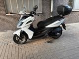 Kymco K-XCT 300i - Frisch gewartet - Top gepflegt  - KYMCO K