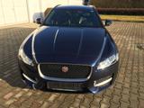 Jaguar XF 25d AWD Sportbrake  Aut. - blaue Jaguar XF