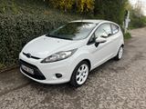 Ford Fiesta 1,25 60kW Viva Viva - Ford Fiesta aus 2011: 1.6