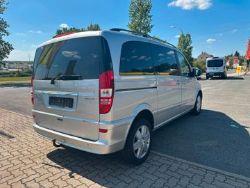 Mercedes Viano - 3