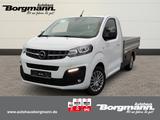 Opel Vivaro 2.0 CDTI Pritsche - Leiterschacht - Apple