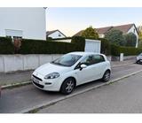Fiat  Fiat Punto My Life | 2013 | 70 PS | 84.000 - Fiat Punto von privat