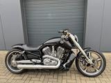 Harley-Davidson V-Rod Muscle Custombike 5Hd ABS Kesstech Auspuff - Angebote