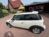 MINI Cremeweiß Panoramadach - MINI Cooper: Panoramadach