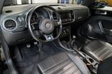 Volkswagen Beetle Cabriolet Sport Leder Xenon Navi PDC Shz - Volkswagen Beetle: Cabrio