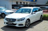 Mercedes-Benz E 220 T CDI BlueTec Avantgarde|AHK|LED|DESIGNO| - Mercedes-Benz E 220: Kombi, Cdi