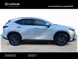 Lexus NX 350 h Executive Line,243 PS,Tech,Interieur - Lexus NX Executive