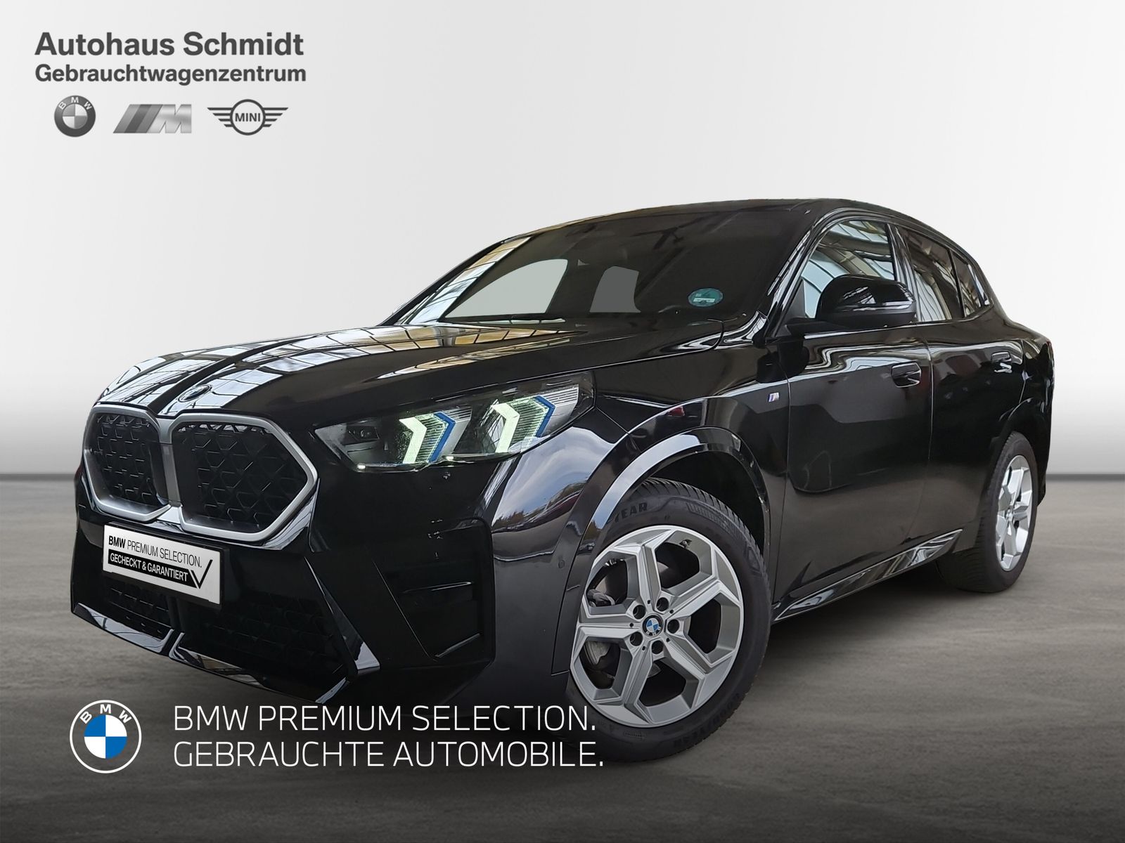 BMW X2 sDrive20d *M Sportpaket*H&K*AHK*Komfortzg*Mem