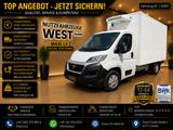 Fiat Ducato 2,3 JTD *Thermoking V300 Tiefkühlung -30C - Fiat Ducato in Herne