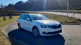 Skoda Octavia 1.0 TSI Ambition Sondermodell TOUR + AHK