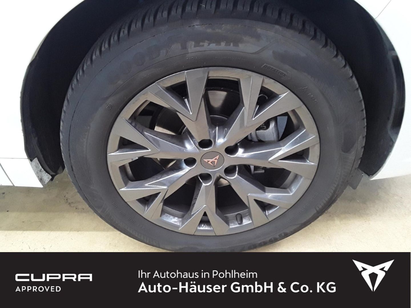 Cupra Terramar - Bild 10