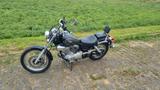 Yamaha Virago 125 - YAMAHA CHOPPER 125