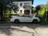 Lancia Flavia Cabrio 2012 Vollausstattung ... - Lancia: Roadster