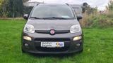 Fiat Panda Lounge*1.HD*Scheckh.*8fach Alu*Isofix*PDC* - Fiat Panda: Lounge