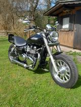 Triumph America - TRIUMPH AMERICA